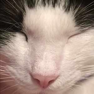 Meet your Posher, Patrice